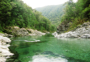pelorus river Craig Salmon